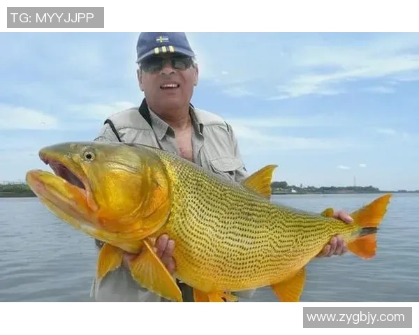 巴西篮球强势出击迎战乌拉圭队争夺南美洲篮球荣耀 巴西篮球强势出击迎战乌拉圭队争夺南美洲篮球荣耀