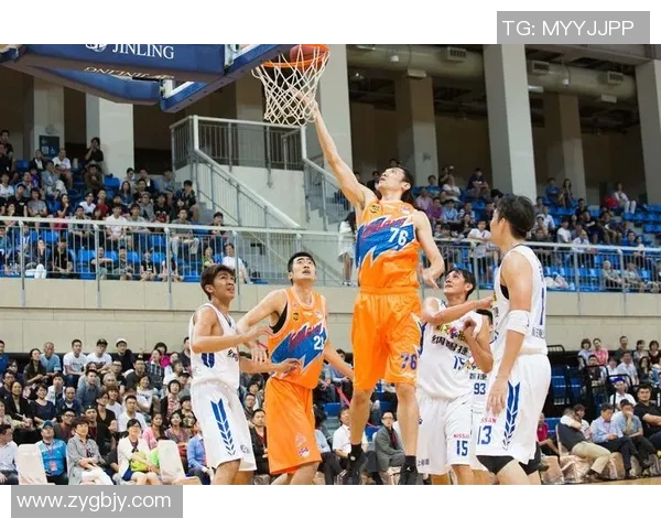 新疆vs台北达欣