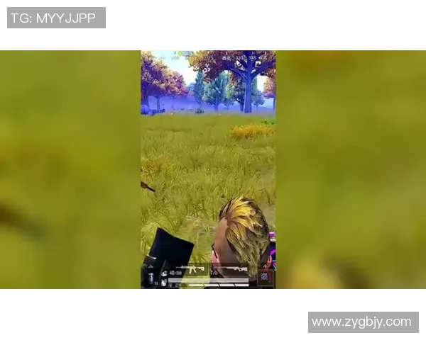 贝尔与麦孔的巅峰对决动态分析与精彩回顾