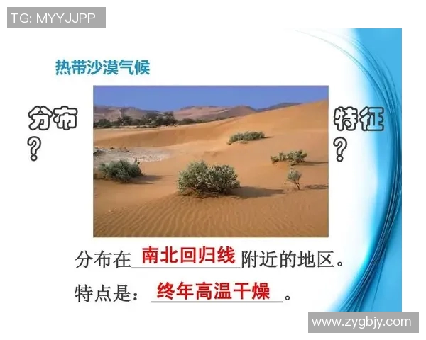 泰国与新加坡气温对比分析探讨热带气候的异同与影响 泰国与新加坡气温对比分析探讨热带气候的异同与影响